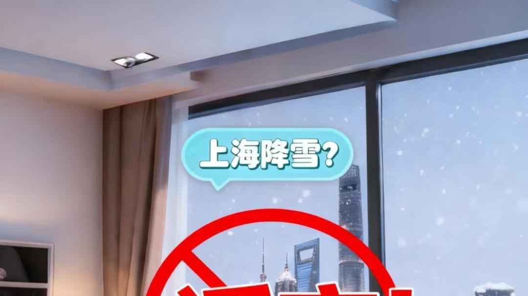 上海下雪了？发布虚假天气信息、编造灾情谣言，多人被处罚