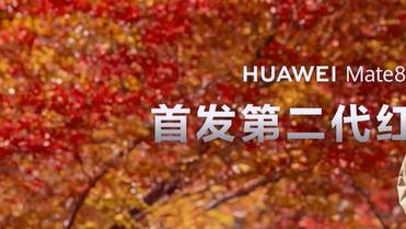 华为12款新品齐发：Mate 80系列、Mate X7折叠屏等产品全面登场