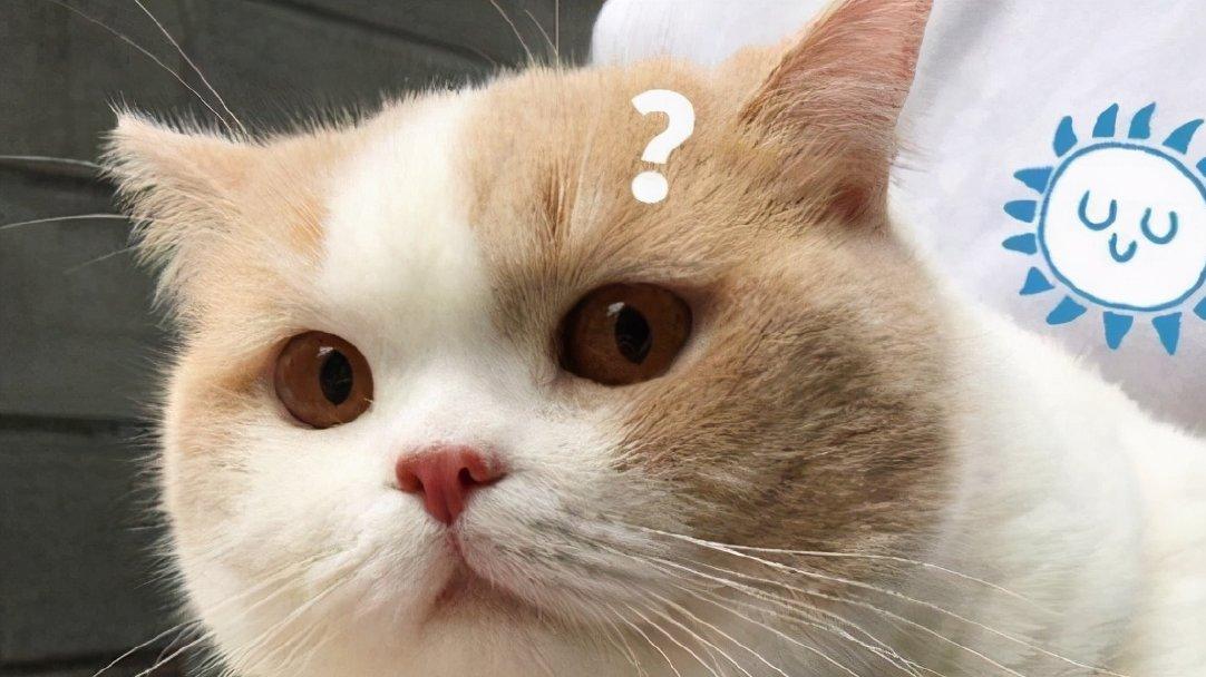 金融大佬如何霸榜游戏？5万一周，包月20万