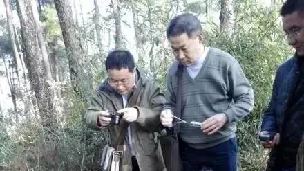 2016年九省五伙“摸金校尉”齐聚攸县，内部举报电话炸碎盗墓梦！