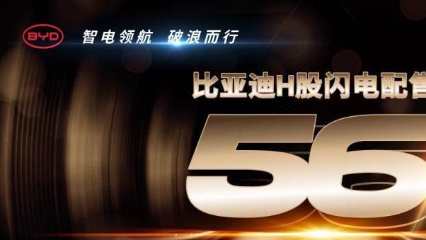 比亚迪2024年财报：高歌猛进，未来可期？新能源巨头的隐秘力量