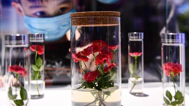 美国发现了，中国完成了“不可能完成”的任务，早已被甩在身后