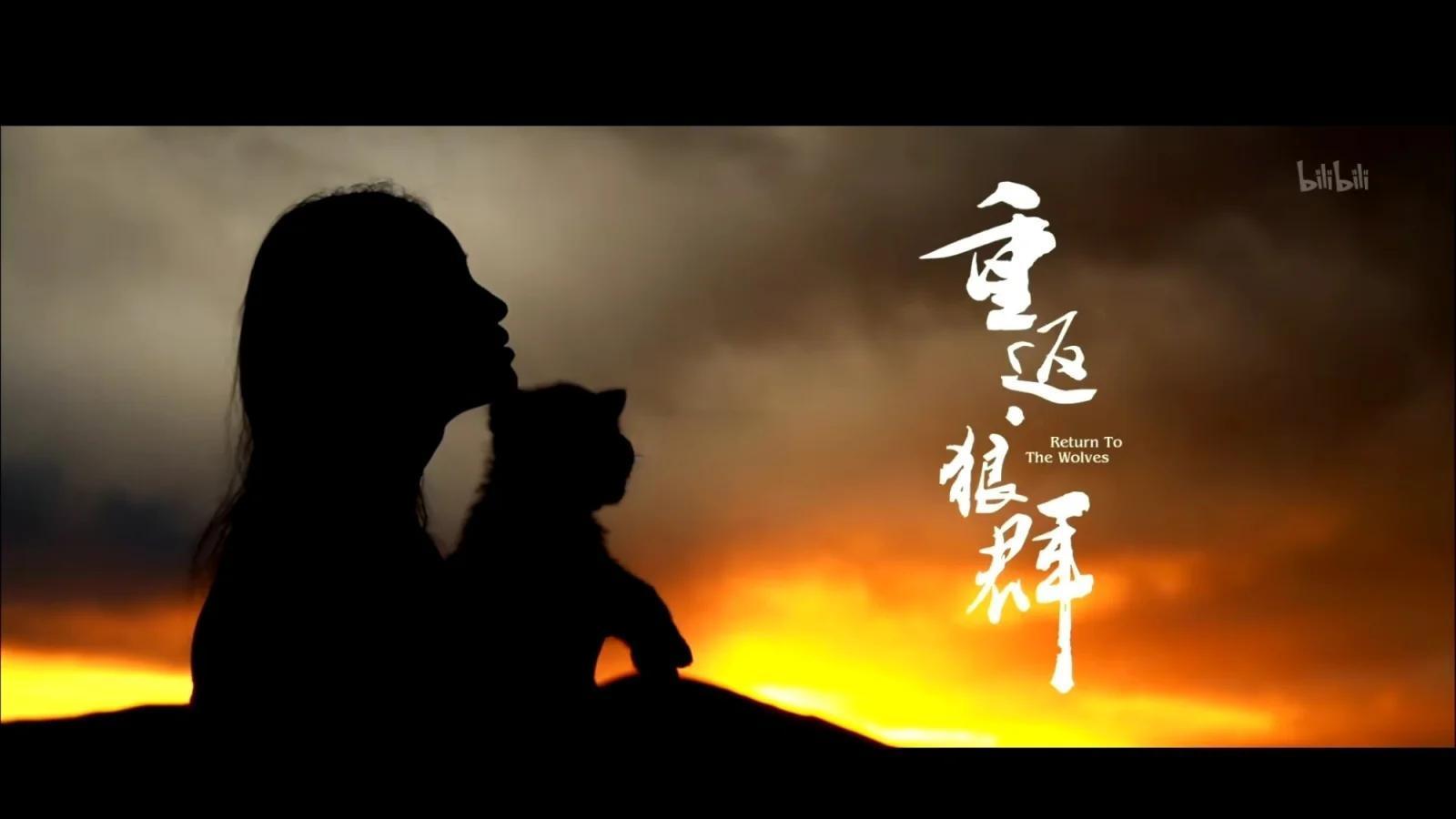 白钰：孤狼最后的尊严——浅析电影《重返狼群》