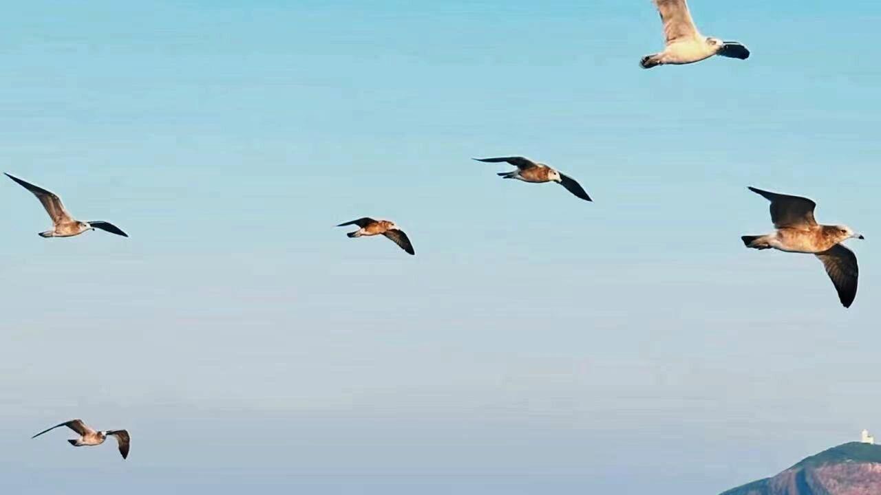 六刷威海，冬季旅游指南