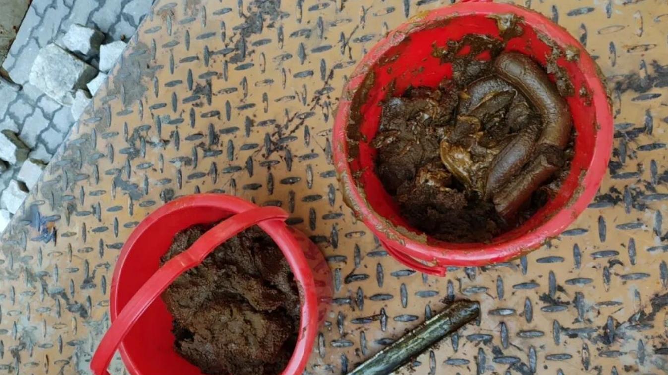 海关律师、走私辩护律师邵丹：查获走私洋垃圾