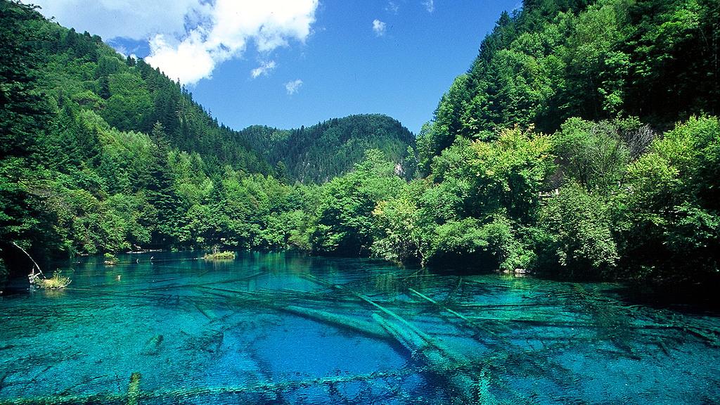 九寨黄龙还敢无脑冲？高反刺客专治嘴硬的人