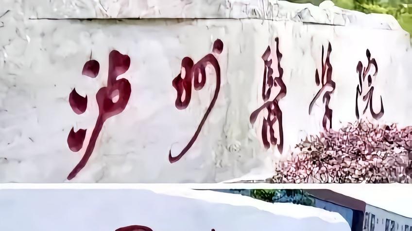 改名最成功和最失败的大学都在四川？