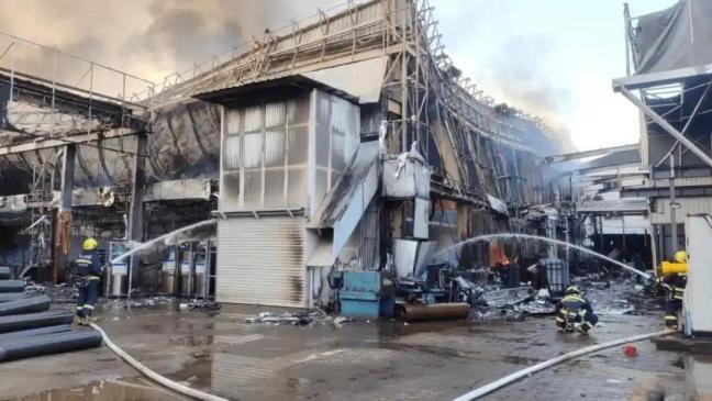 百条生命与四小时救援：日本犬舍火灾背后的警示与反思