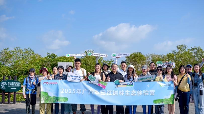 从文昌到湛江，红树林生态体验营让绿色守护落地生根