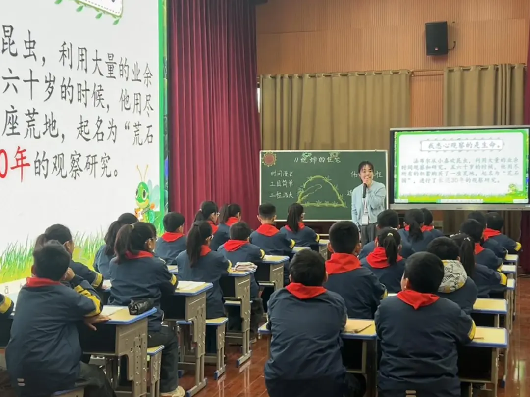 2025年肥光&阜南结对联动语文同课异构教研活动圆满举行