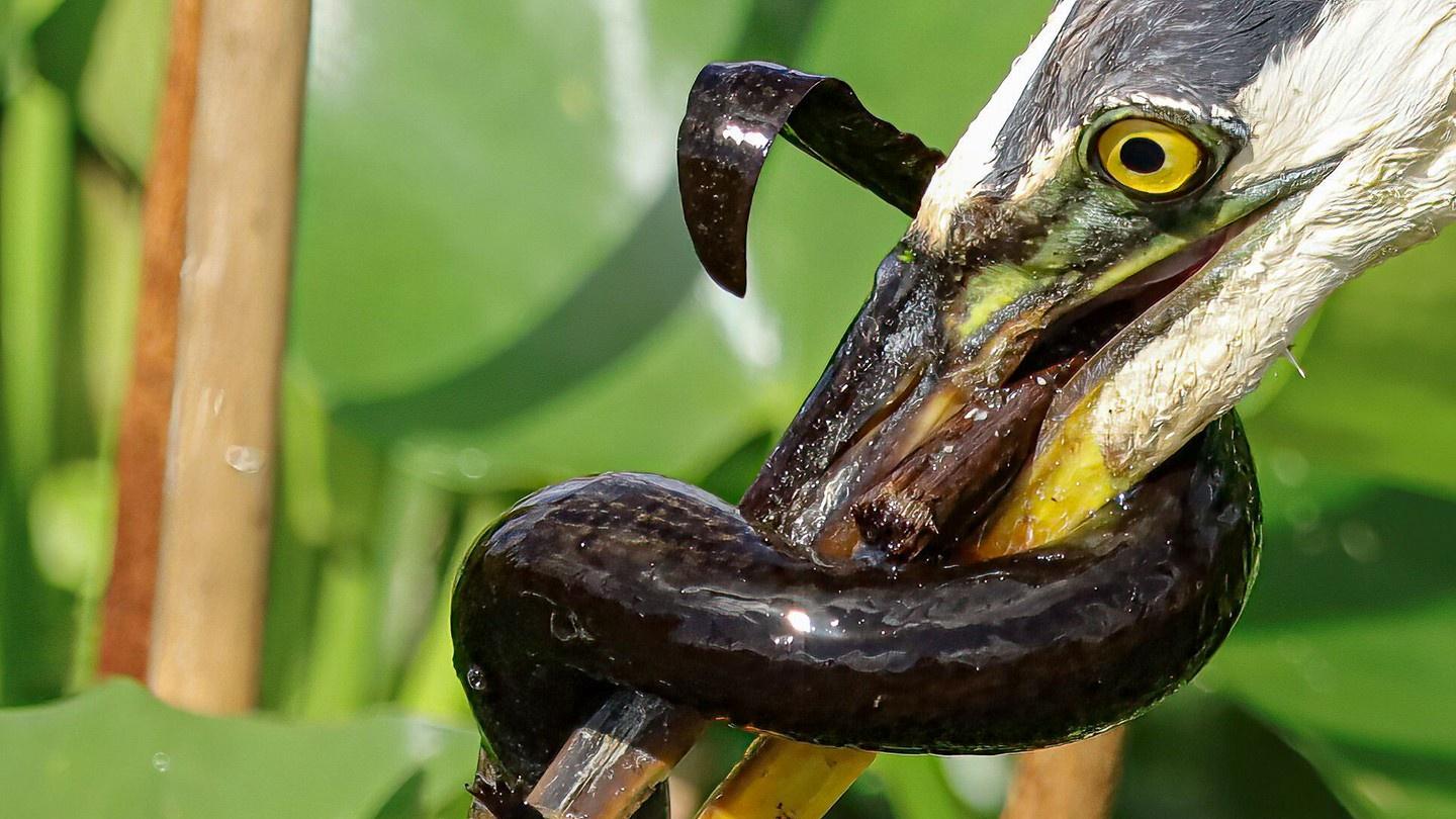 权力不是自上而下，而是自下而上的