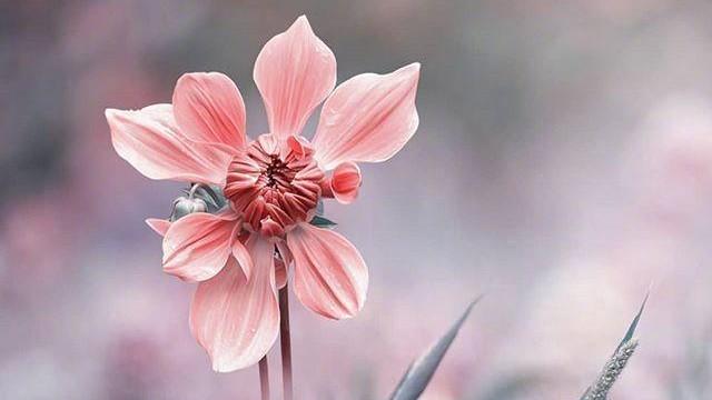 十一月发朋友圈引人深思的心灵鸡汤说说，看完让人大彻大悟！