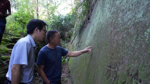 弘扬中医文化  赓续红色基因