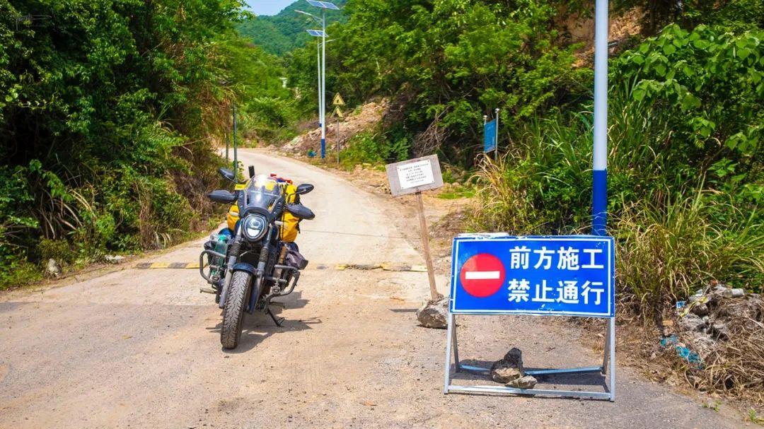 历经艰辛来到金庭观遗址，却只见一棵老树婆娑，新昌文旅赔我油钱