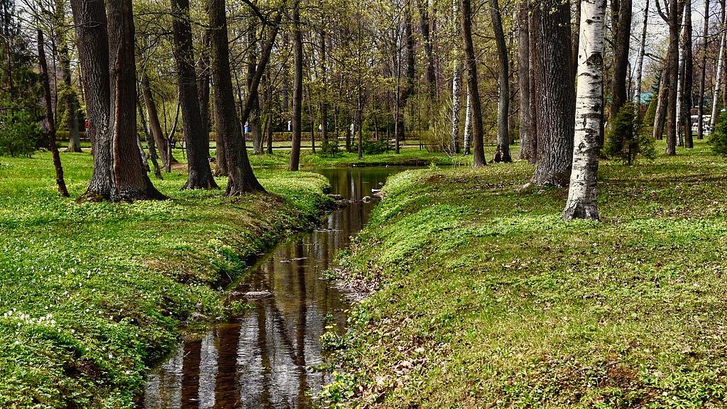 民间故事：李大力盗墓奇遇记