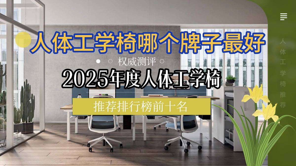 人体工学椅哪个牌子最好？2025人体工学椅推荐排行榜前十名权威测评