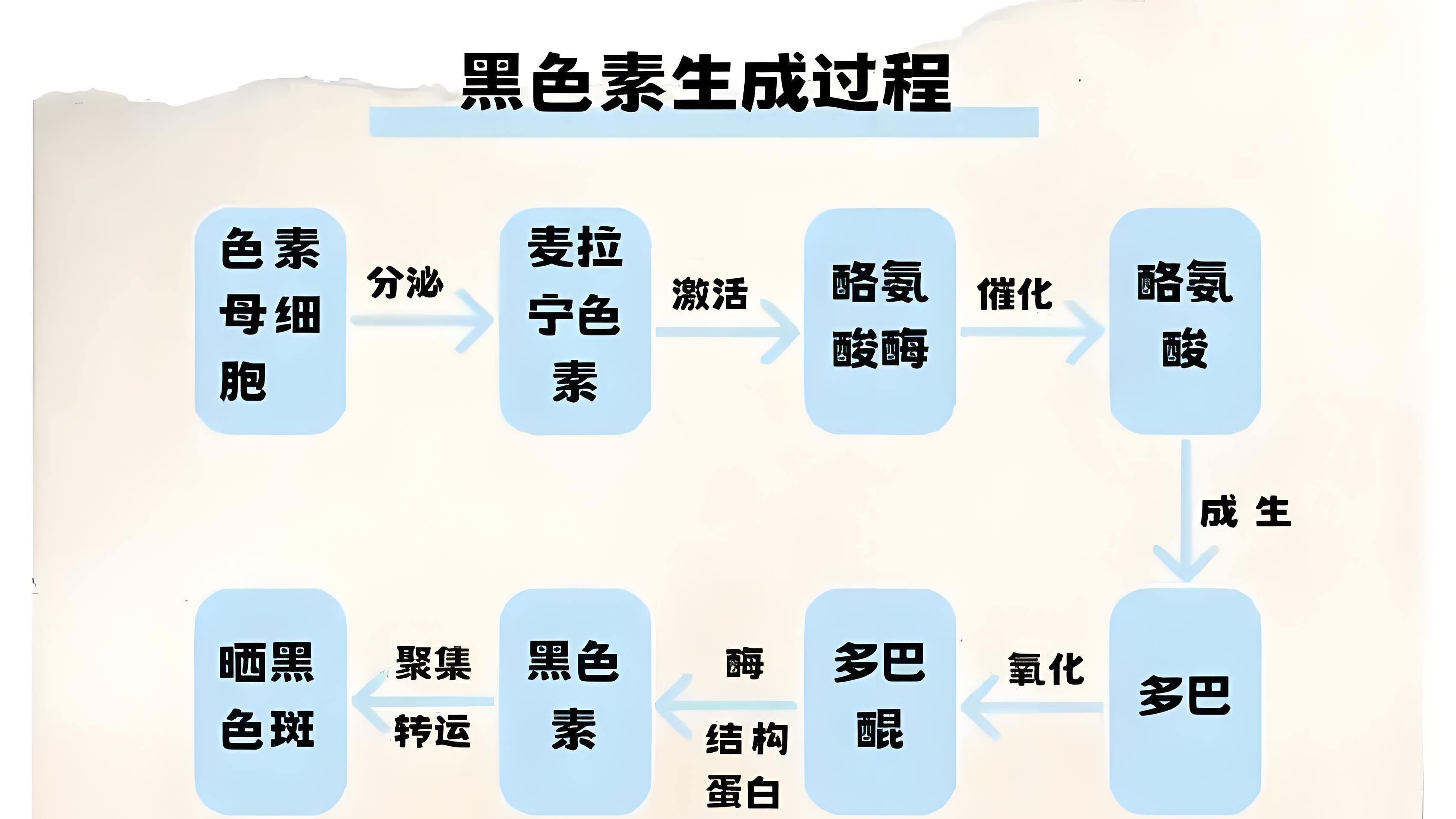 从源头阻击黑色素！一文读懂它的形成及应对之策