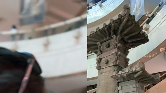 用小艺当“随身百科”，带娃认植物真香！这届父母太会了