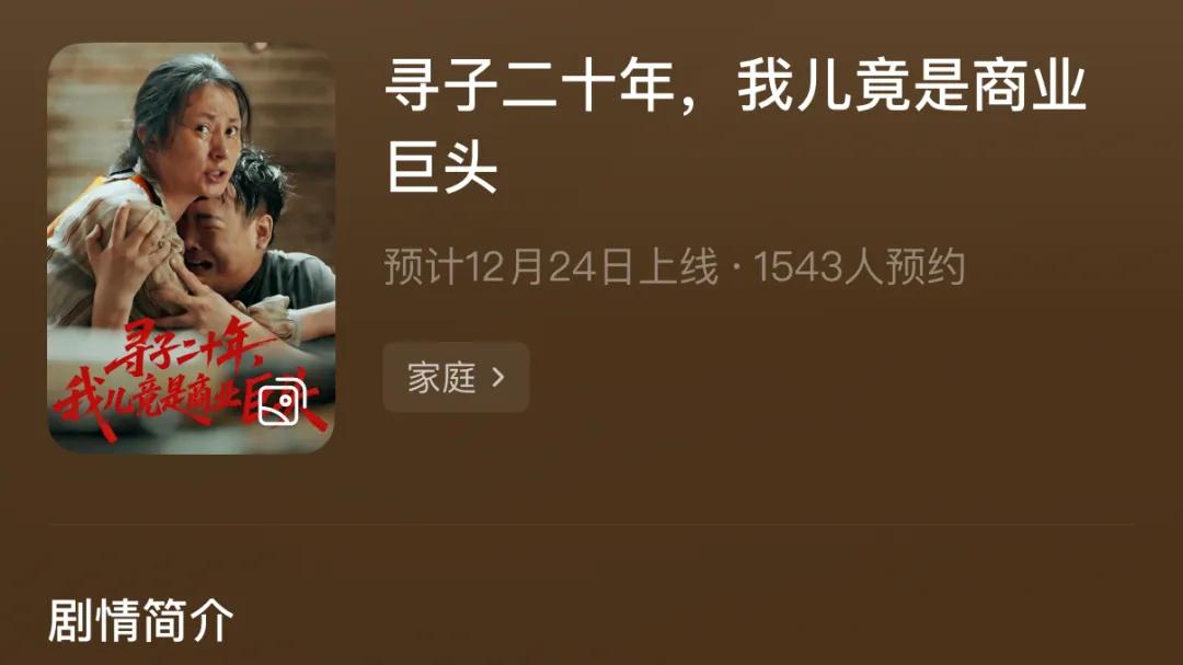 短剧《寻子二十年，我儿竟是商业巨头》：拐卖、寻子、豪门复仇！年度最敢拍亲情大戏定档！