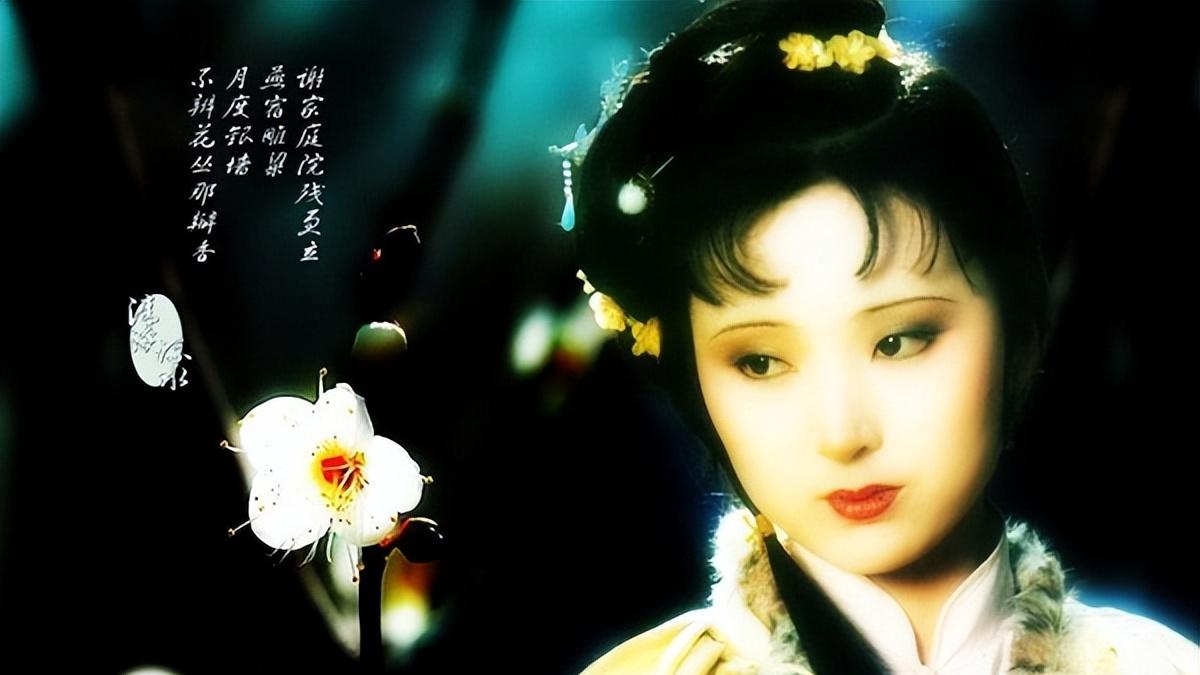 黛玉不应该继承林如海的财产么？为啥会弄得“一无所有”？
