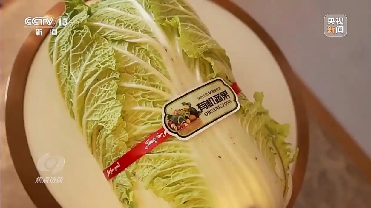 155元一棵“胶州大白菜”，你是否被“套路”？