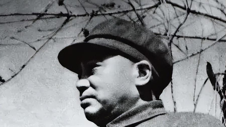 为什么一野、三野有副司令，但是二野、四野却没有副司令？