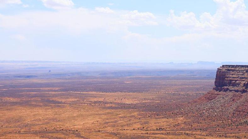 高敏感人群自救指南：停止喂养你内心的“批判者”