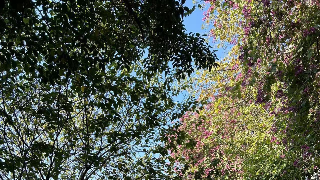 末法时代的混沌