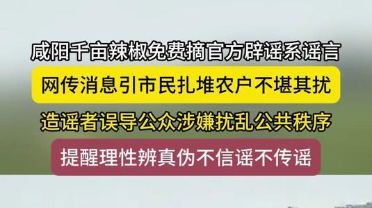 净网: “千亩辣椒免费摘”系谣言