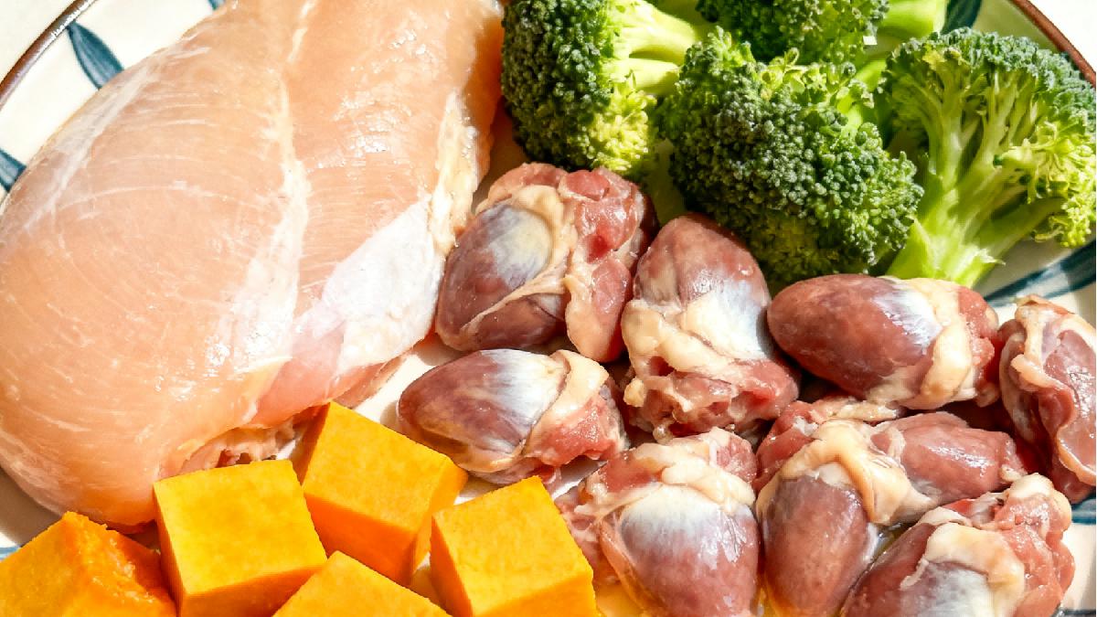 成猫自制猫饭食谱：自制猫饭日常食谱分享，掌握自制猫饭科学配比