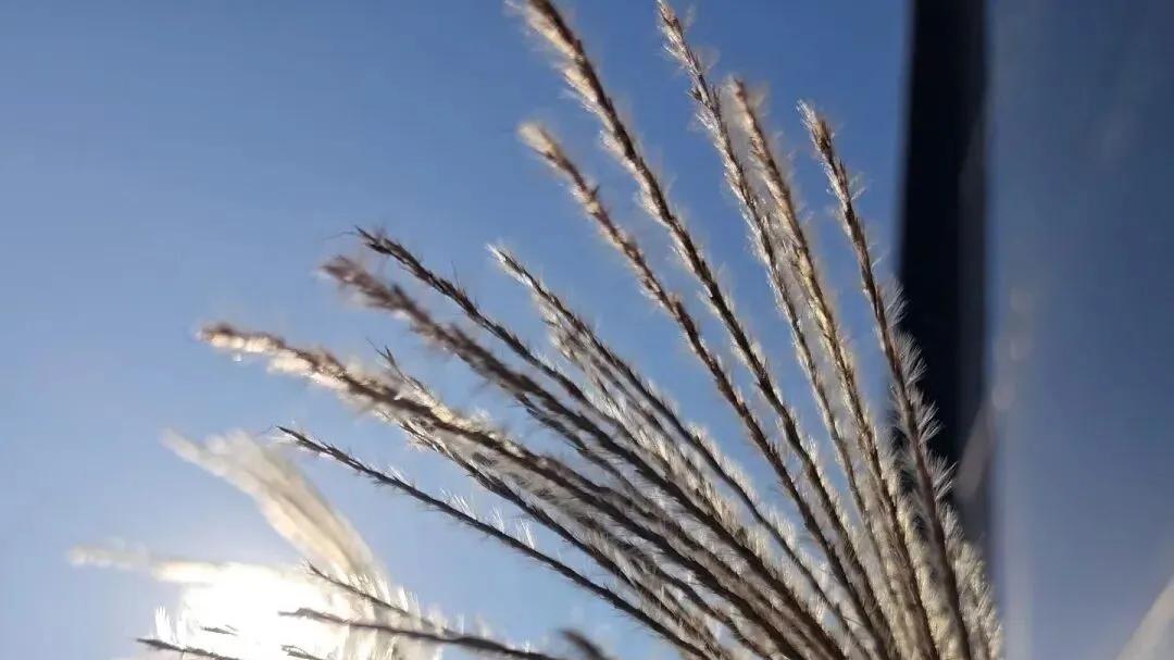 随笔：期待春天为时尚早，且行且随风吧