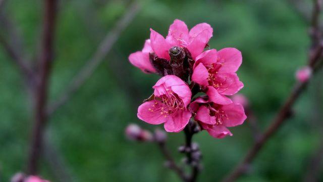 解读男人之吻：爱你还是不爱你？