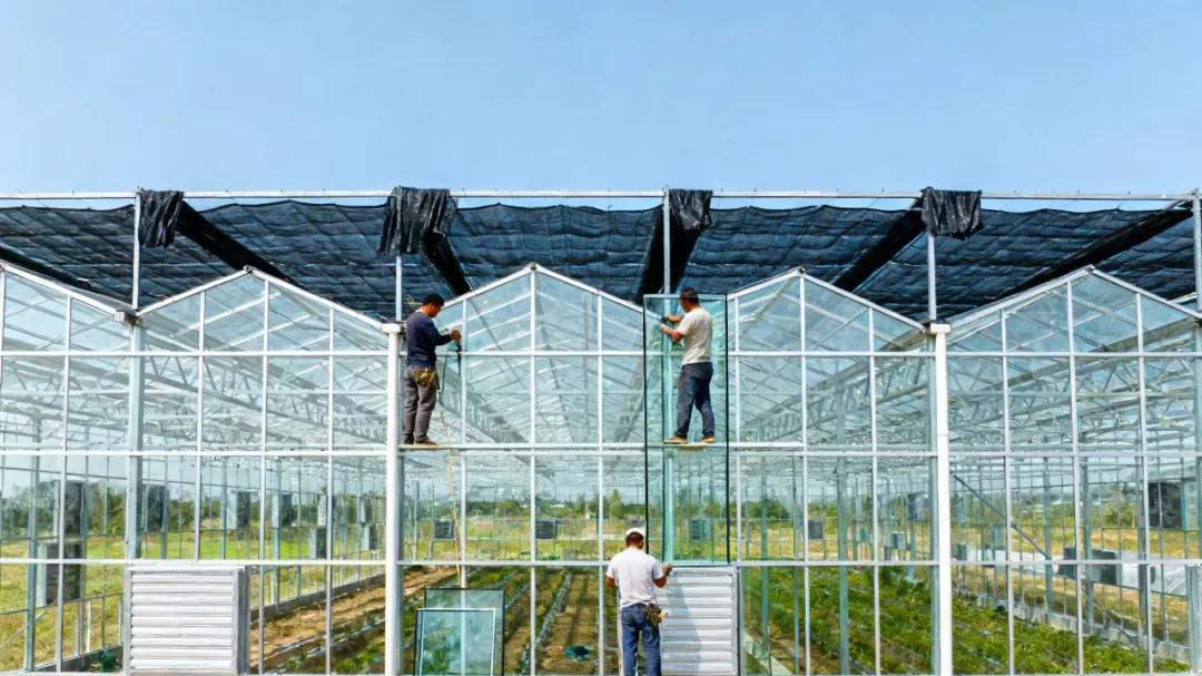 揭秘高端的智能玻璃温室到底贵在哪？！