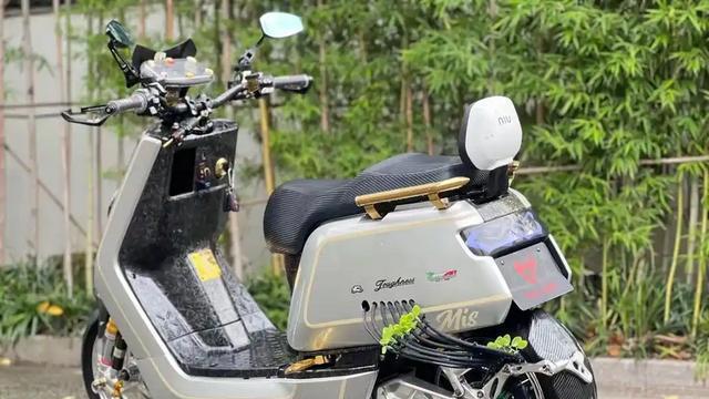 电动车利润揭秘，万元级市场潜力大，爱玛、台铃为何不涉足