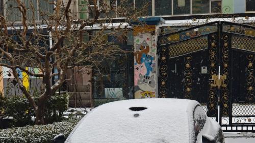 ​雪地开007GT的浪漫