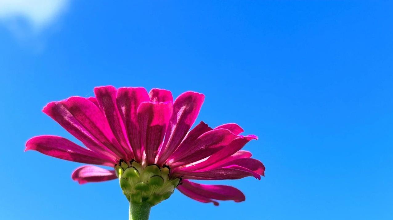 男人不愿意分享的3样东西，真的不爱你了吗？