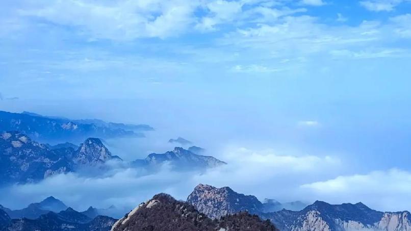 异性缘爆棚的女人，都有这1个不费力的特质