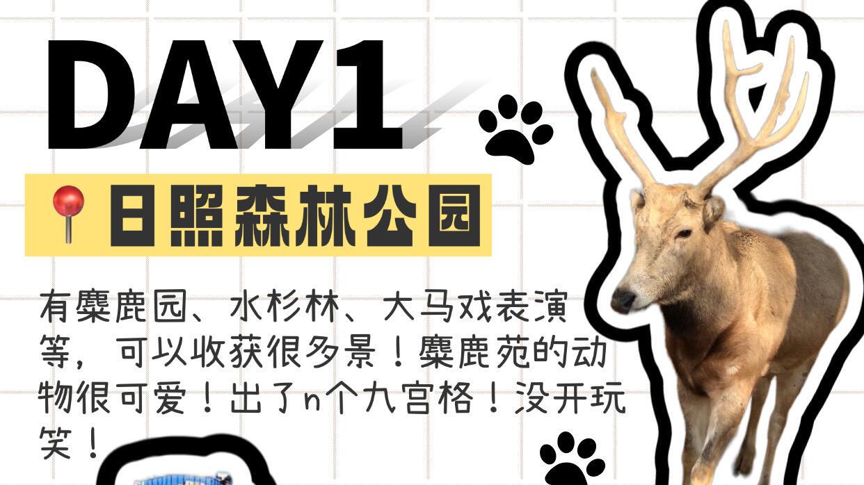 10月日照旅游，轻松路线篇