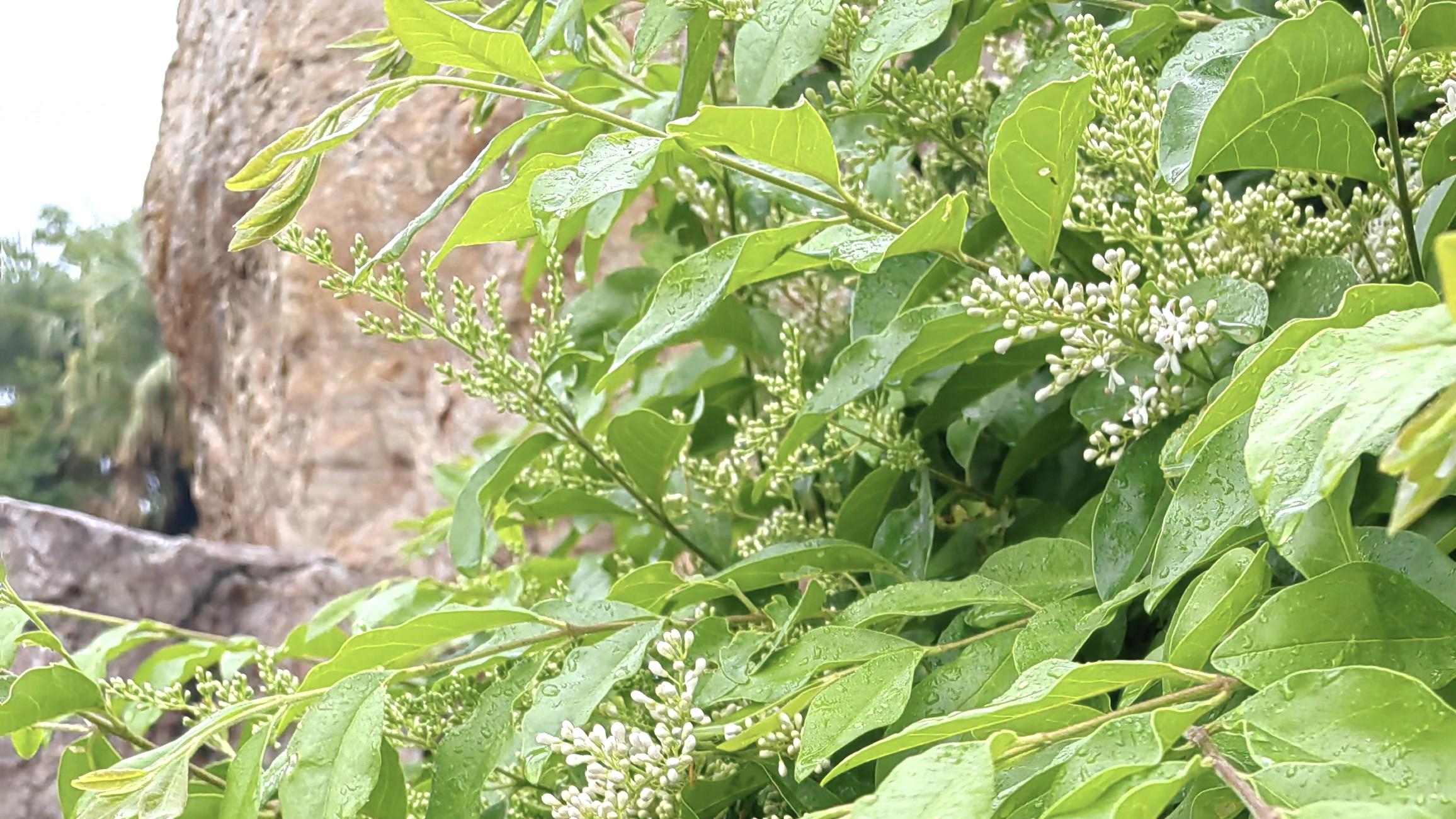 人在职场：愿意给出信任吗？