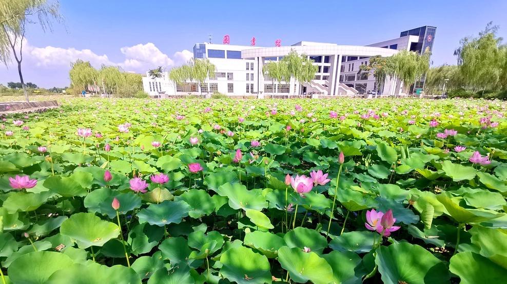 宁夏改名很成功的高校，原校名略显平庸，新校名听着就像公办名校
