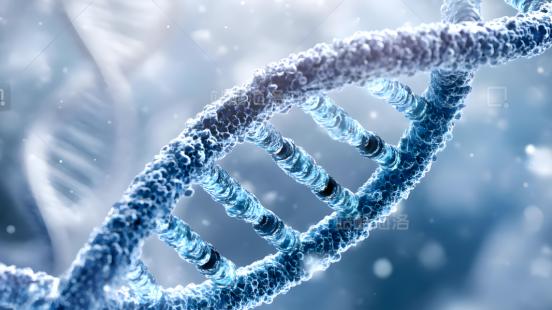 生命暗号：DNA之间的“量子对话”正在改变人类认知！