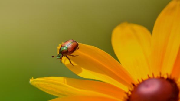 元模型（Meta-Model）：三句“精准提问”，瞬间击穿客户的限制性信念