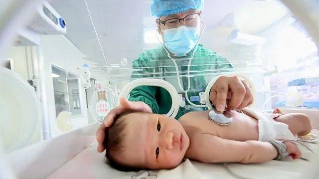 无问西东：解码2024年中国人口版图的静水深流