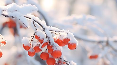 新手小白适用的6款公众号排版神器，你pick谁？