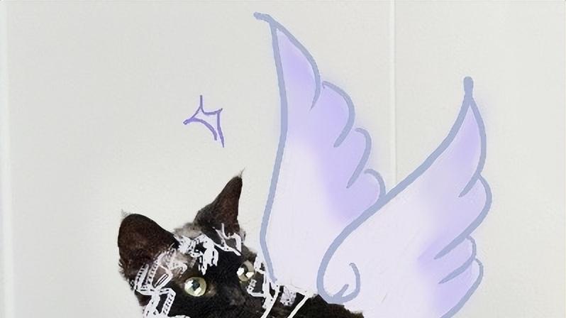 都是艺术家！关晓彤同款创作体验，2025天生会画数字创作大赛开幕