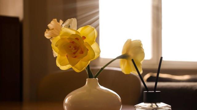 人生漫漫：从容一路芬芳，焦虑暗香浮动