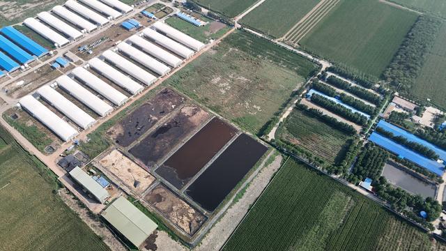 汶上康驿镇养殖场粪便直排引民怨 多次反映无果整治迫在眉睫