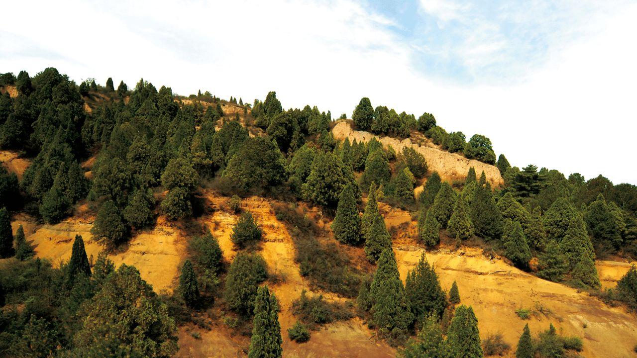 山西晋中乌金山旅游攻略火了，这座“长在森林里的禅修公园”凭啥成“Z世代森系治愈顶流”？