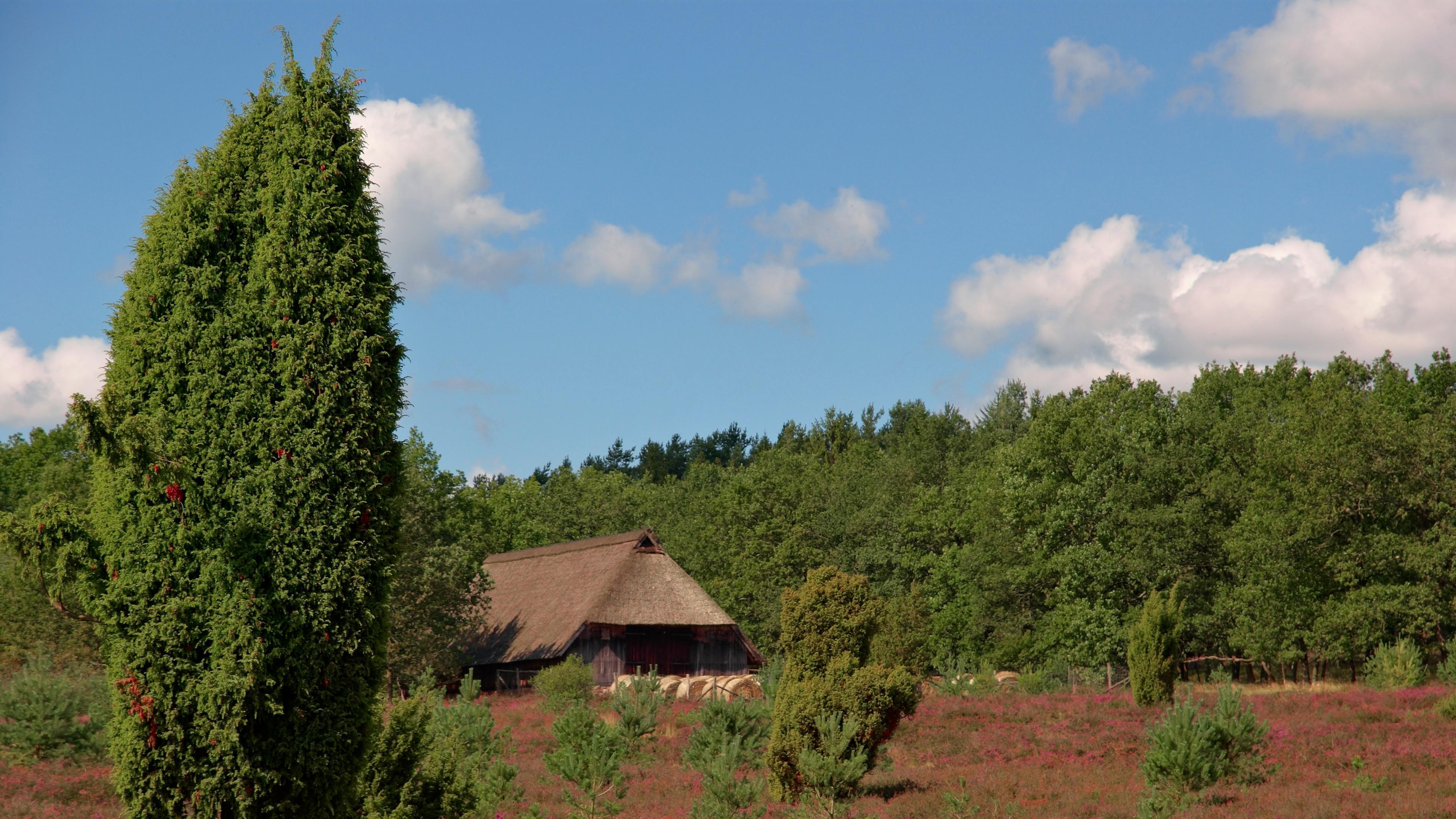 5万公里之外，中国高铁为什么越跑越“快”