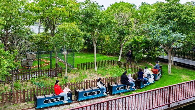 寻江南·醉震泽③｜林水间的秋日江南，慢调里的田园欢趣